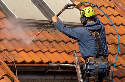 Démoussage et hydrofuge de toiture à Lissieu